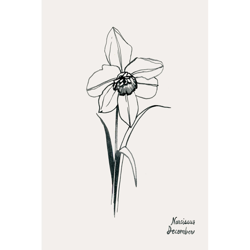Fleurs Annuelles, H 30 po x l 20 po