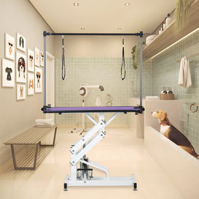 43-Inch Hydraulic Dog Grooming Table - Adjustable Z-Lift Pet Drying Table With Heavy Duty Frame, Noose & Non-Slip Surface