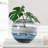 Manzer Handcrafted Glass Abstract Table Vase-329916536-329916487