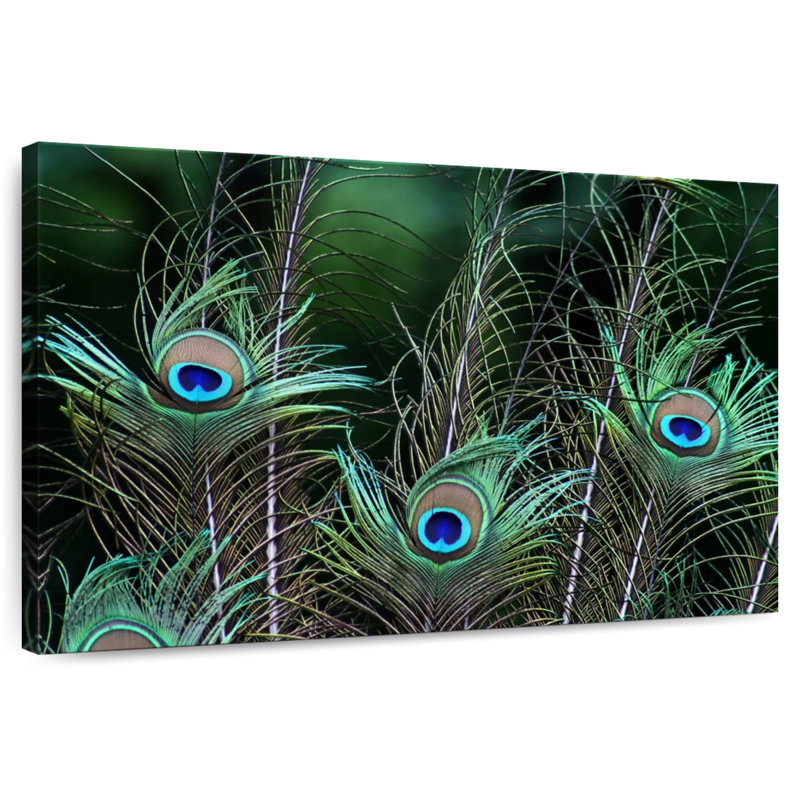 Ornate Peacock Feathers, 26" H x 39" W