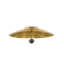 Pinders 2 - Light LED Flush Mount