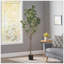 Arbre artificiel eucalyptus artificiel-2126949771