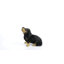 Statue de chiot teckel