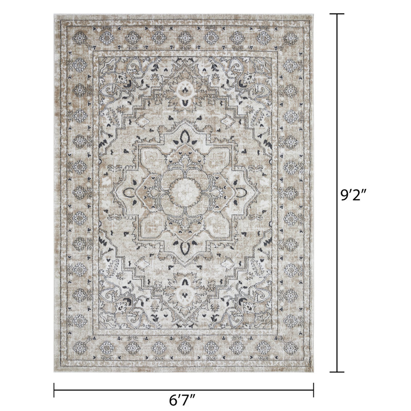 Aldijana Oriental Indoor Rug, Rectangle 6'7" x 9'2"