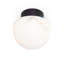 Parker 1 - Light Flush Mount-79008912