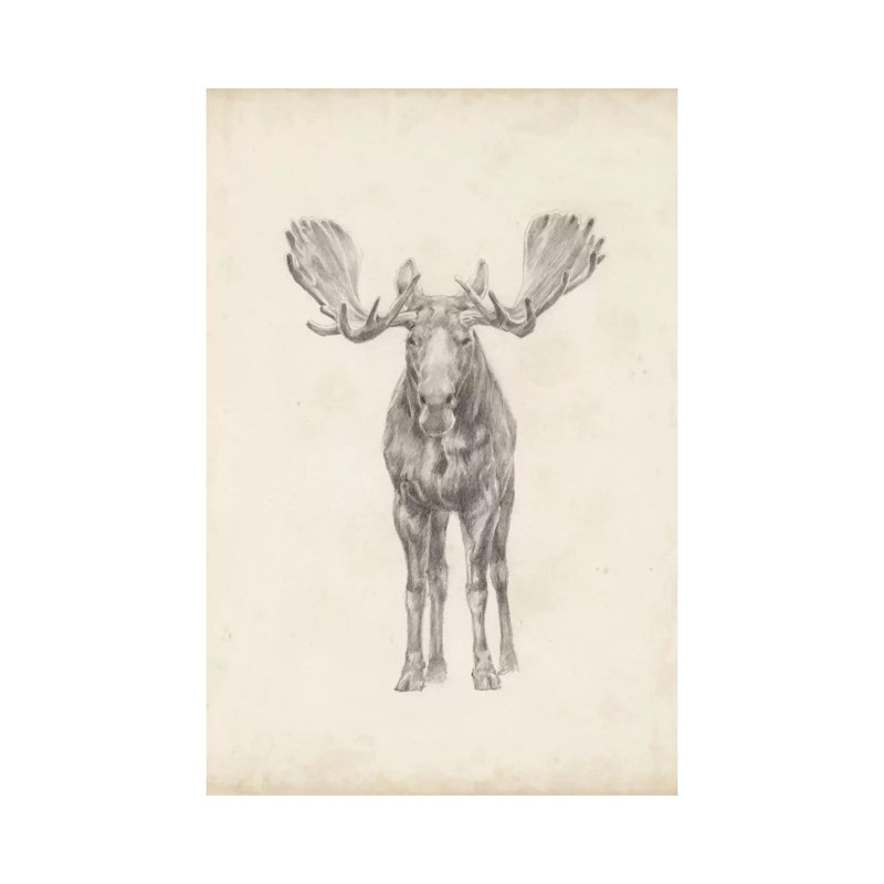 Moose Study by Ethan Harper - Wrapped Canvas Painting, 66.04 cm H x 45.72 cm W x 1.91 cm D