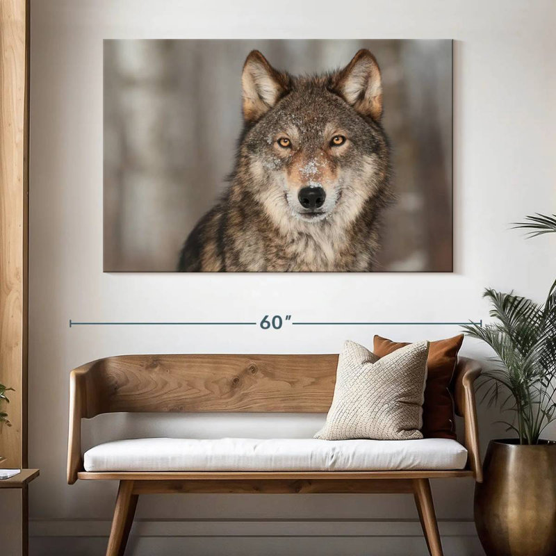 Loup gris Brampt, H 34 po x l 51 po