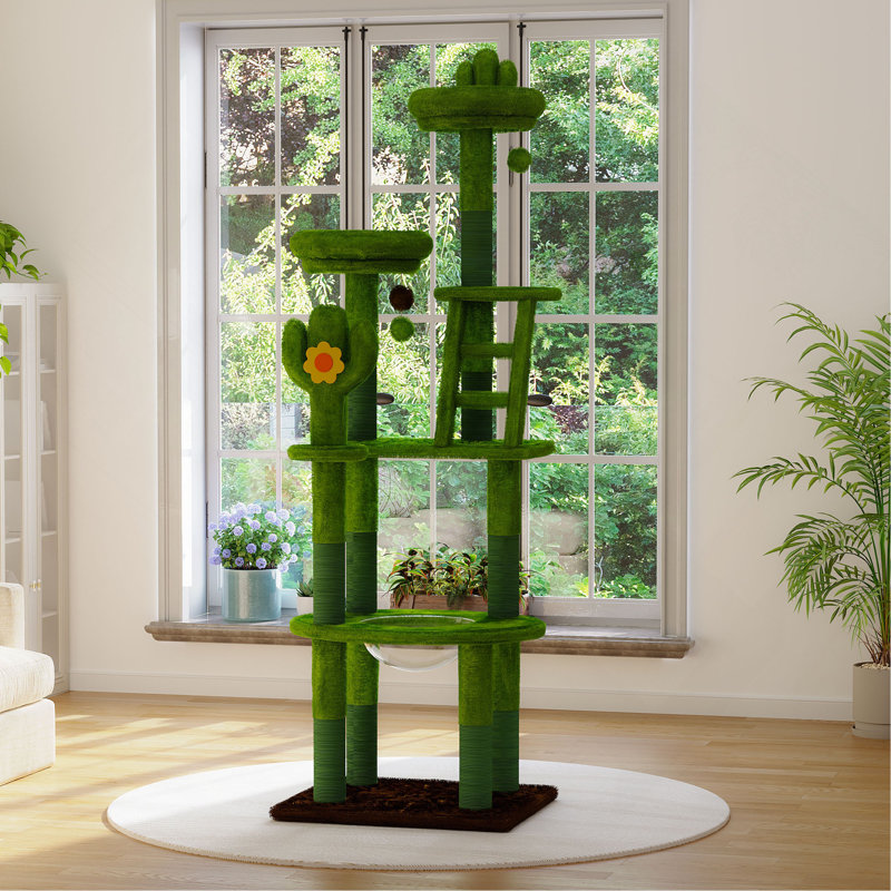 Arbre à chat cactus avec capsule transparente, poteaux en sisal, perchoirs moelleux et jouets interactifs pour chats d'intérieur