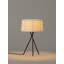 Metal Tripod Lamp-682078191