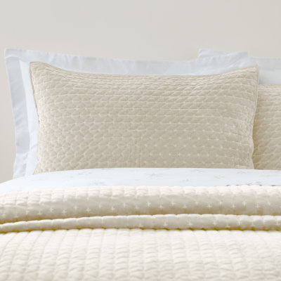 Attica Velvet Embroidered Pillow sham Pair