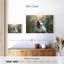 Brampt Nature Dog-107856561