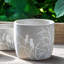 Planter-309982704