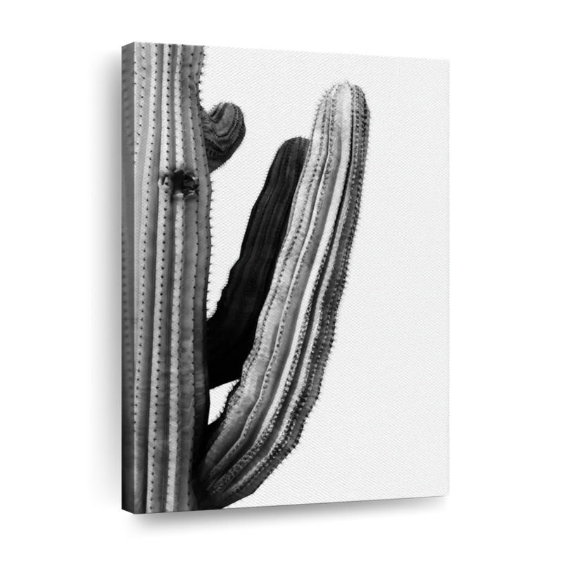 Branche de cactus sur toile, H 51 po x l 34 po x P 1,25 po