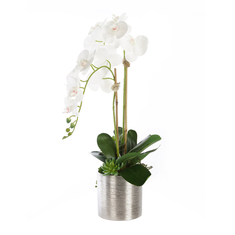 Real Touch Orchid Centerpiece in Pot