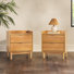 Blairsburg 2-Drawer Solid Wood Nightstands