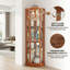 Vitrine de coin lumineuse en chêne foncé-582919049