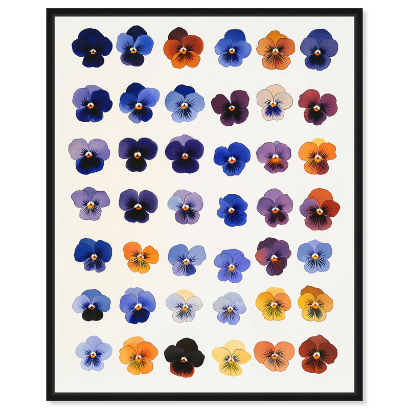 Impression sur toile Pansy Patch Grid II par Art Remedy, H 37 po x l 31 po, Structure noire