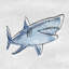 «Cheeseman Great Shark», reproduction sur toile tendue-1397427291