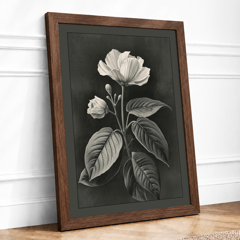 Study in Monochrome Botanical - Framed Print, A2 - 59.4 x 42.0 cm, Walnut