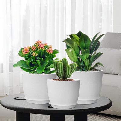 Pot Planter