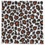 Nappe Football-1576809629-1576809621