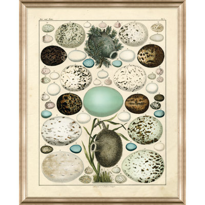 Nest and Eggs III - Cadre photo, impression sur papier