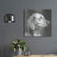  «A Very Neutral Modern Dog 12» par Cartissi, art mural en métal, 24 po x 24 po-1658606051