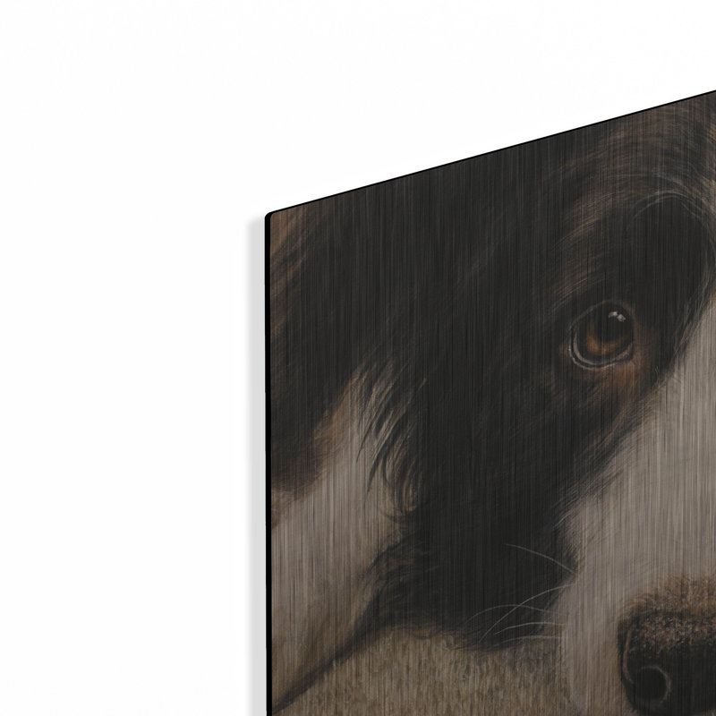 «Border Collie Love» par John Silver, H 12 po x l 16 po