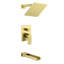 Bath And Shower Faucet Trim-125490537