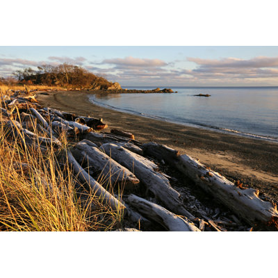 Logs On A West Coast Beach by KathrynHatashitaLee - No Frame Art Prints on Canvas