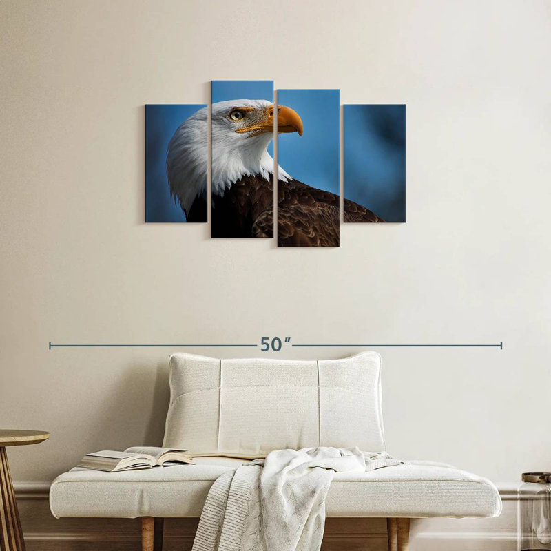 American Bald Eagle Headshot