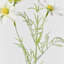 Bleuet décoratif en soie Audet (paquet de 1 branche)-101548673-101548679
