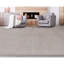 Himalayan Wool Area Rug in Beige