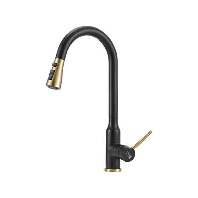 Breeins Kitchen Faucet