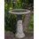 Iris Birdbath