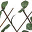 Olivian 180cm H Wood Expanding Trellis-456905687