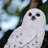 Snowy Owl on Stump Statue