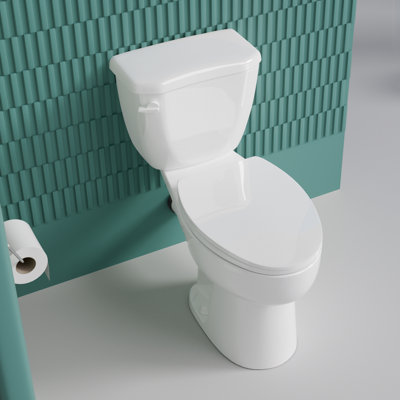 17" Elongated ADA Height Rear Outlet Toilet with Tank 1.28 GPF Single Flush White with Extension Pipe