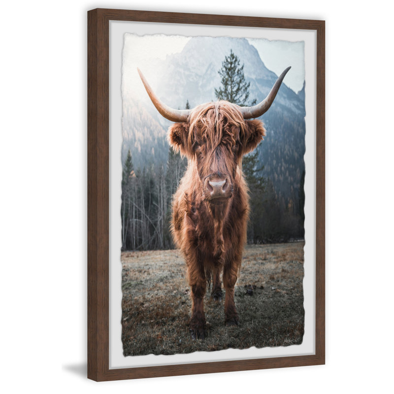 Hug A Cow - Single Picture Frame Print, 45cm H x 38cm W x 3.81cm D