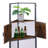 Corner Storage Bookcase