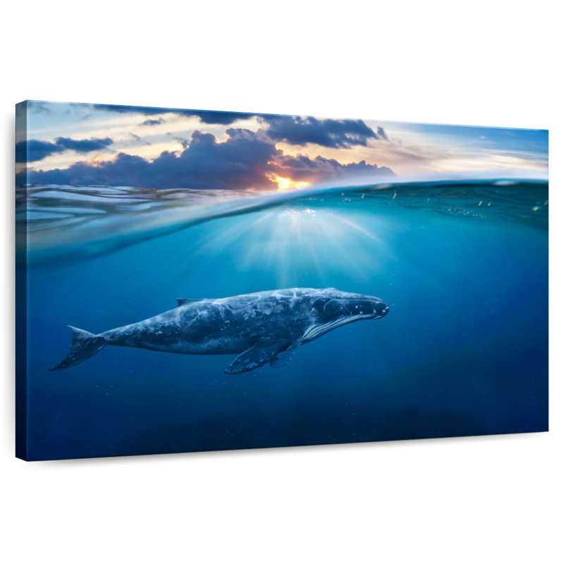 Brampt Blue Ocean Whale, 34" H x 51" W