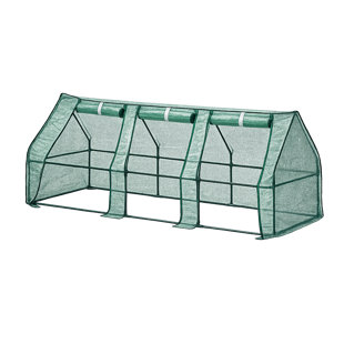 Greenhouse