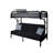 Paulita Kids Twin Bunk Bed-1450858714