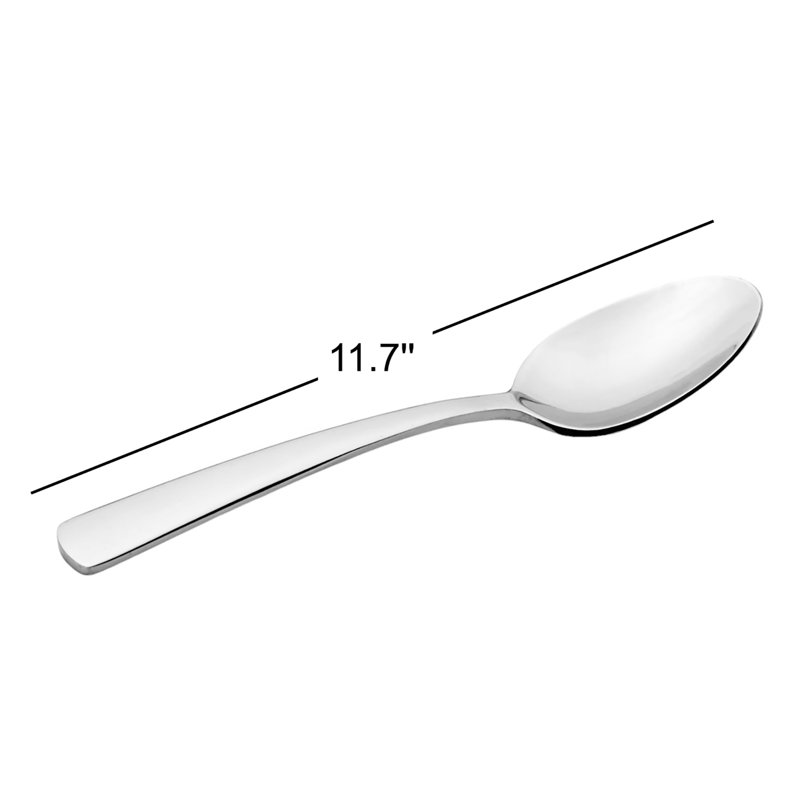 Aptitude Dinner Spoons, S/6