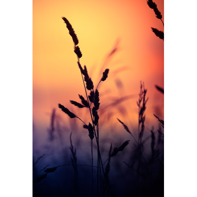 Silhouette of Wildflowers 1 Piece Wrapped Canvas Wall Art