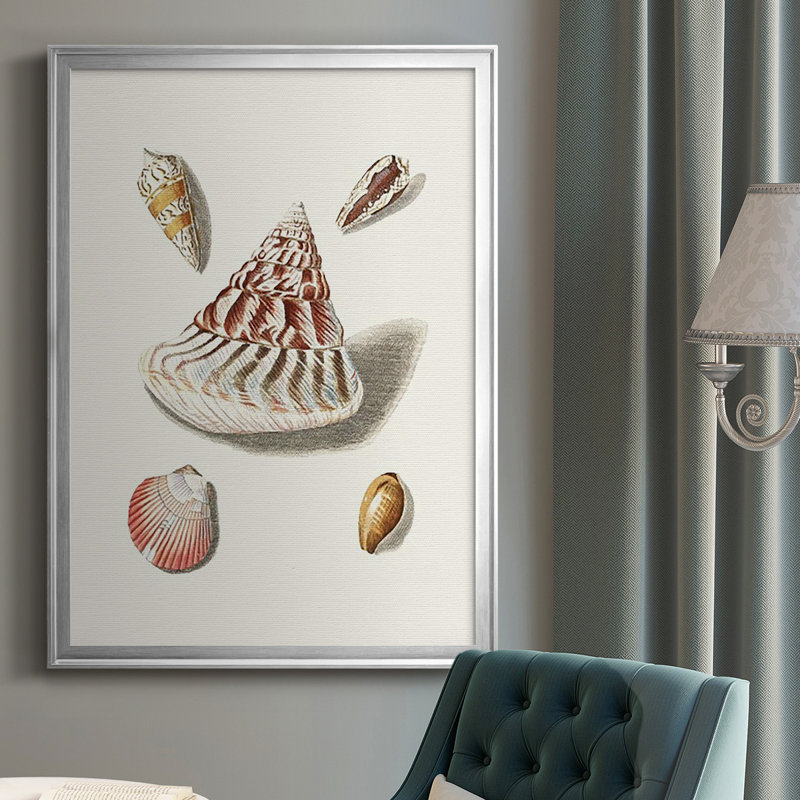 Pastel Knorr Shells VII, reproduction encadrée de qualité supérieure - prête à être accrochée, H 30,5 po x l 22,5 po x P 1 po