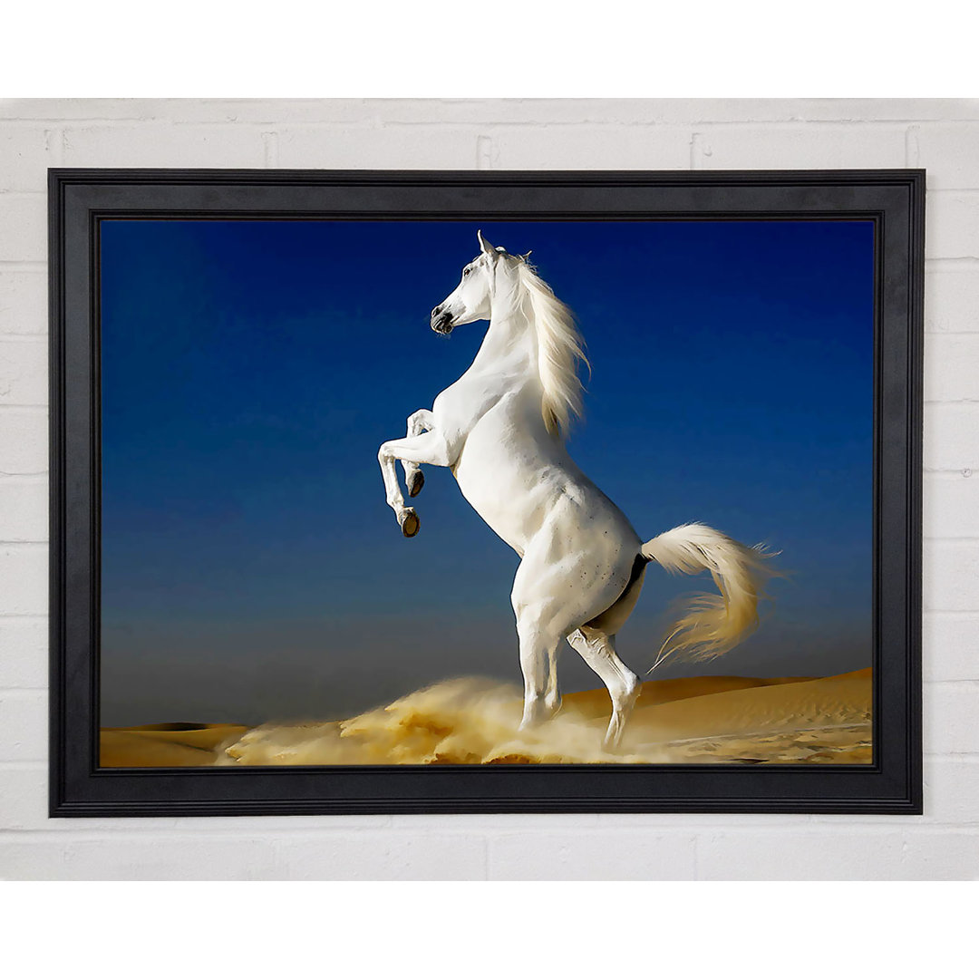 White Horse Stance - Einzelner Bilderrahmen Kunstdrucke