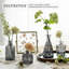 Vase de table Dopkins-1914841790
