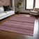 Machine Washable Indoor/Outdoor Christain ACN1421 Garnet Rug
