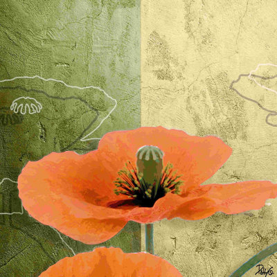 Coquelicots orange III